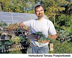  Acquiring a Passion for Bonsais