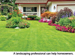  Thinking About New Landscaping for Your Home?
