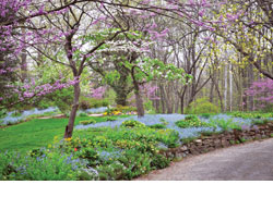  Aullwood Garden – Lived in and Loved