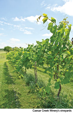 Miami Valley Wineries