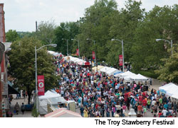  A Very Berry Festival
