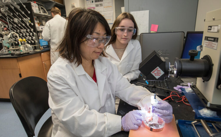  Not Slowing Down: Guide to Colleges & Universities