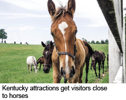  A Trip to the World’s Horse Capital