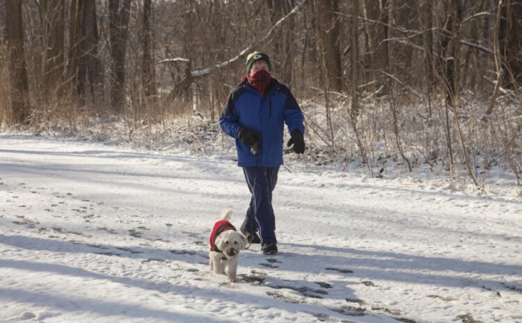  A Winter Outdoors