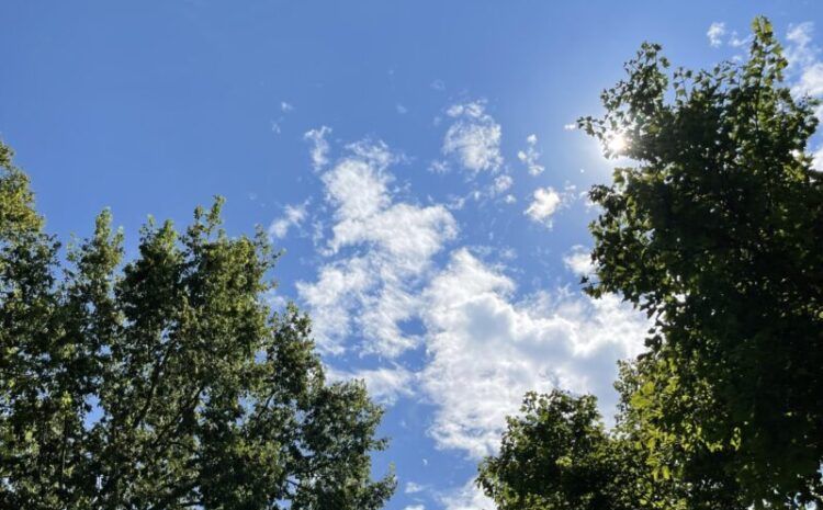 5 Ways To Enjoy The Last Days Of Summer