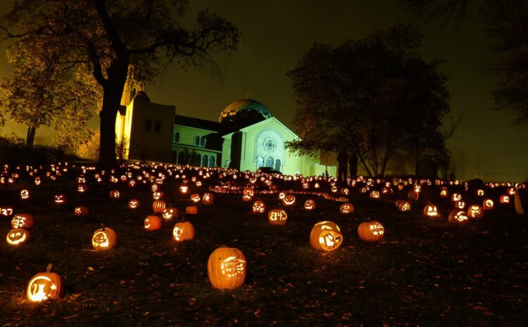  The Stoddard Avenue Pumpkin Glow Returns