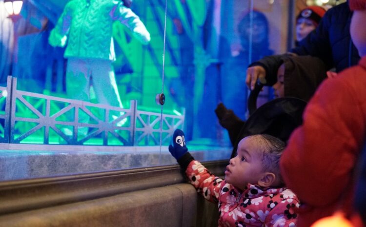4 Events to Get into the Holiday Spirit