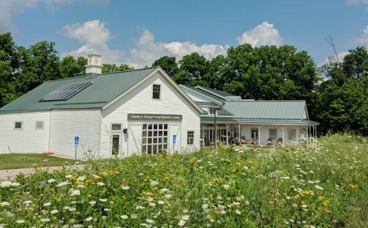  3 Local Plant Sales