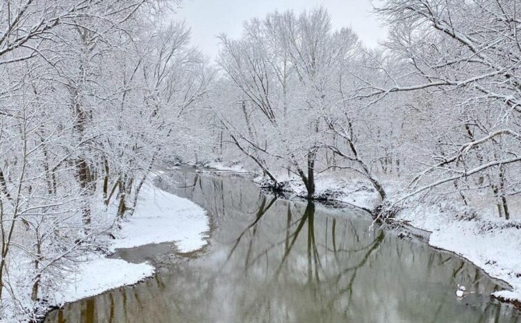 Have a Snow Day!