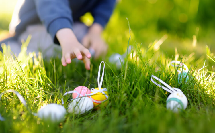  Ready for an Egg Hunt?