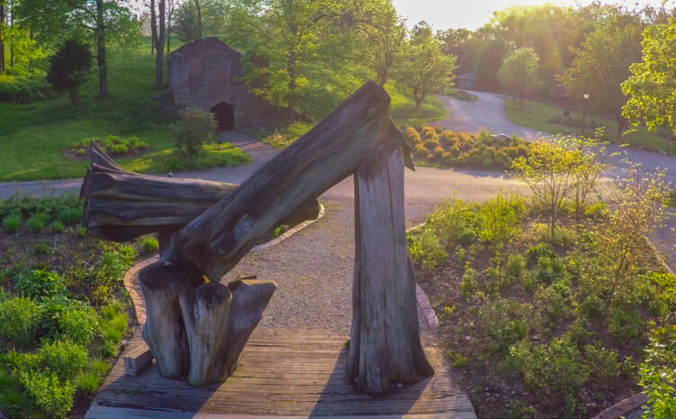 11 Ways to Celebrate Earth Day