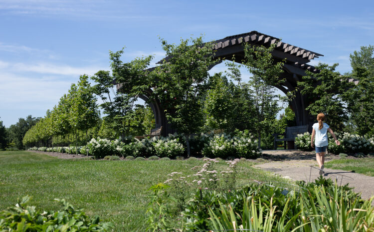  Nurture Your Green Thumb at Cox Arboretum